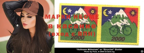ПСИЛОЦИБИНОВЫЕ ГРИБЫ Инта