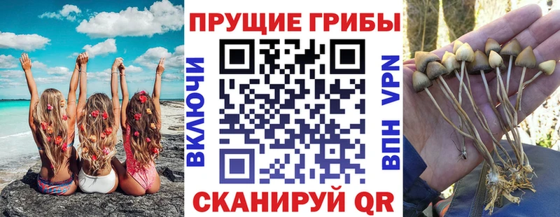 Галлюциногенные грибы Cubensis  Кызыл 